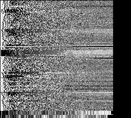 A tall narrow strip 256 pixels wide and 231 pixels tall. Each row is one keyframe's full 256-colour palette. Almost entirely grey, with a handful of warmer rows.