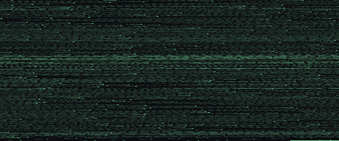 The video section rendered as a 480-wide bitmap. Horizontal banding shows the difference between keyframes and predicted frames.